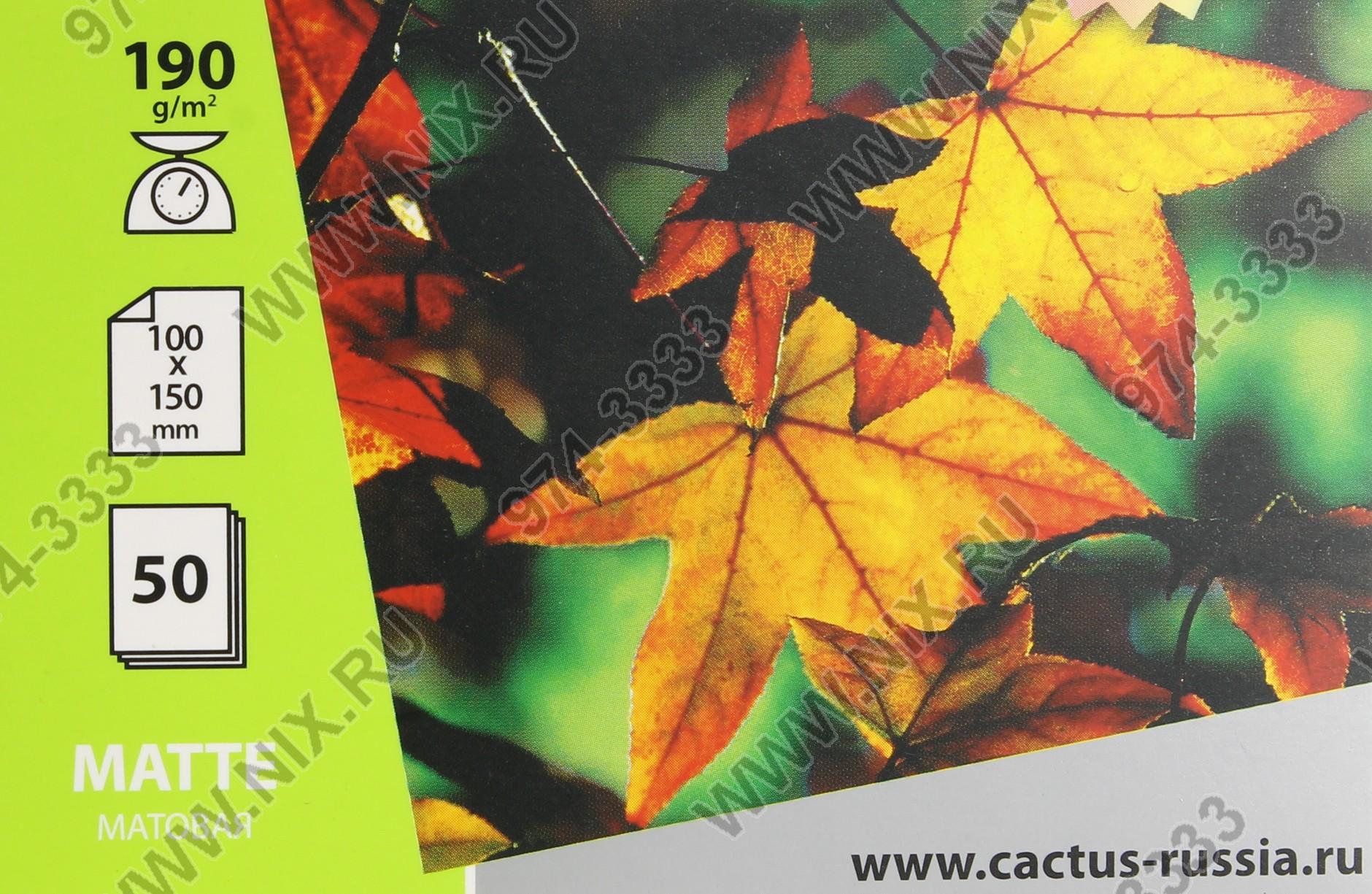 Файл не найден