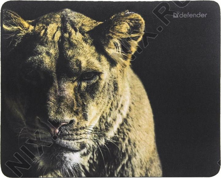 Файл не найден