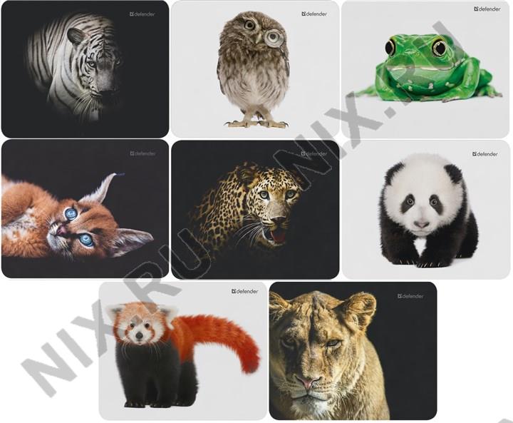 Файл не найден