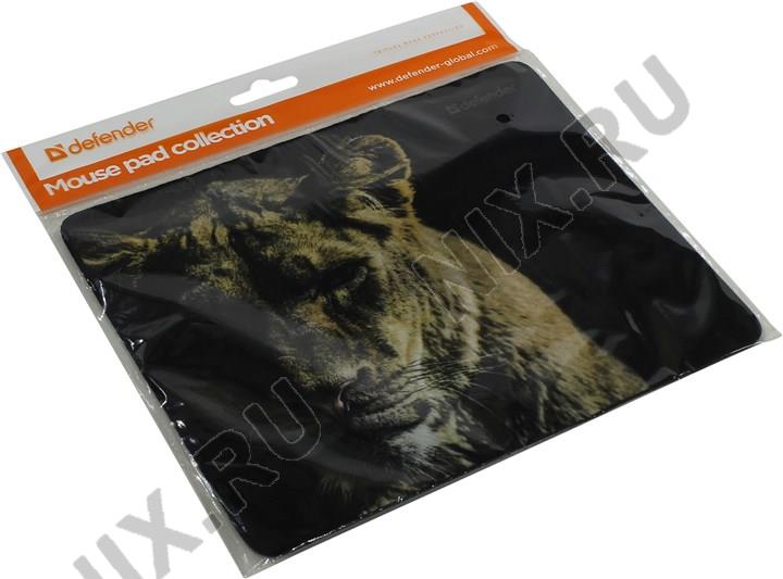 Файл не найден