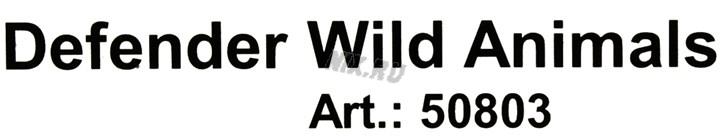 Файл не найден