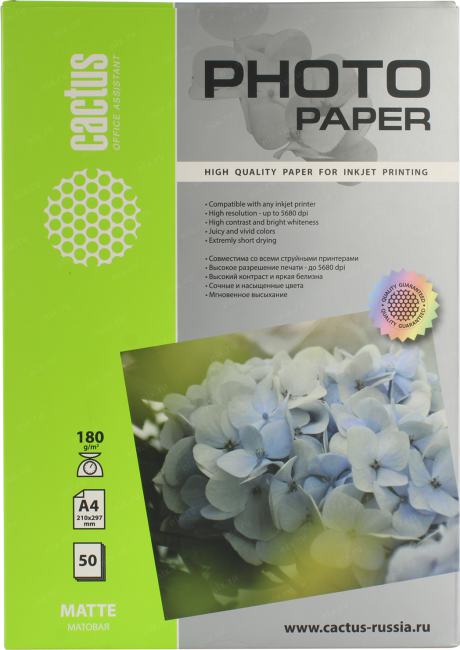 Файл не найден